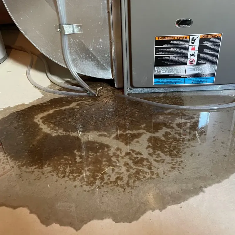 Pipe Burst and Leak Restoration in Stickney, IL