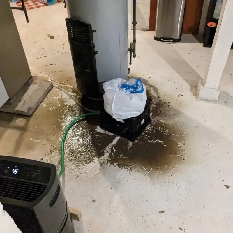 Sewage Backup Cleanup Service in Stickney, IL